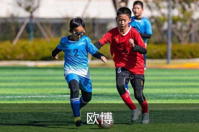 欧博团队与业务介绍